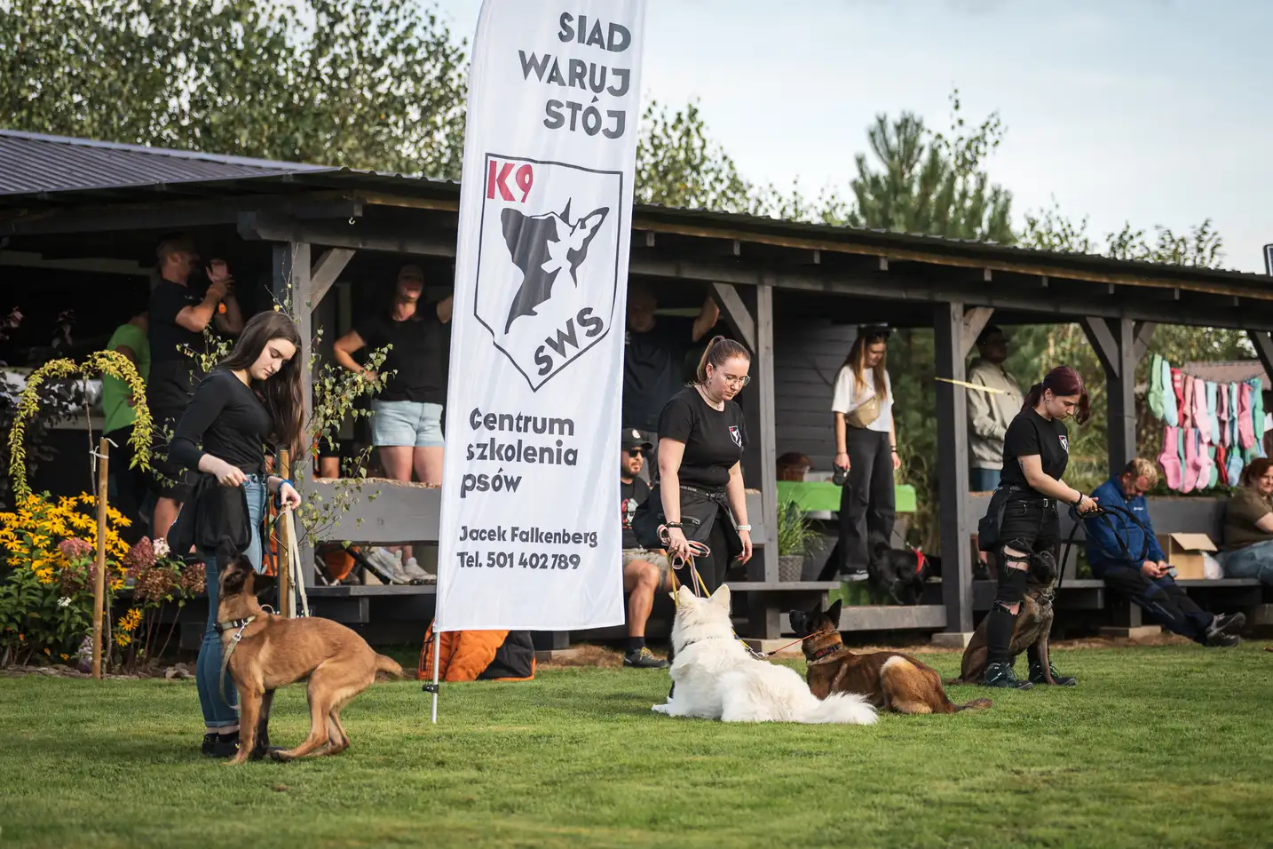 Zajęcia grupowe z psami w Centrum K9 SWS w Siedlęcinie