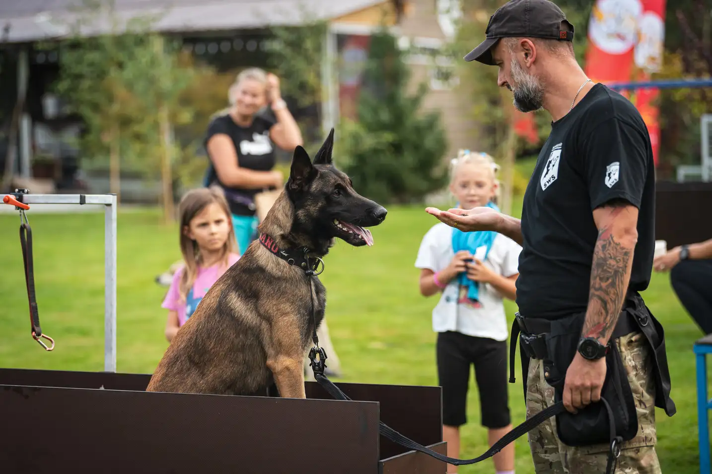 Zajęcia grupowe z psami w K9 SWS