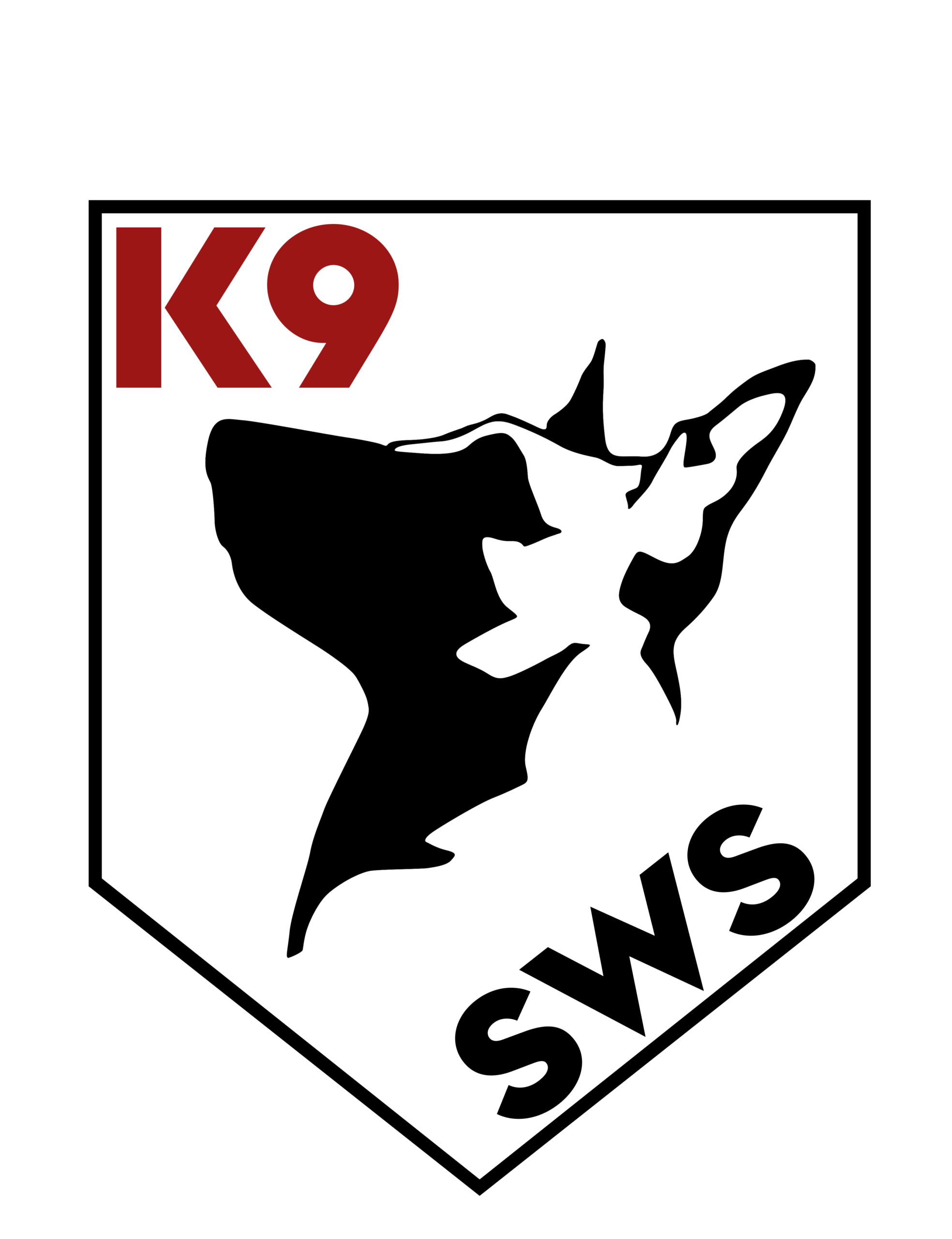 Logo K9 SWS na jasnym tle