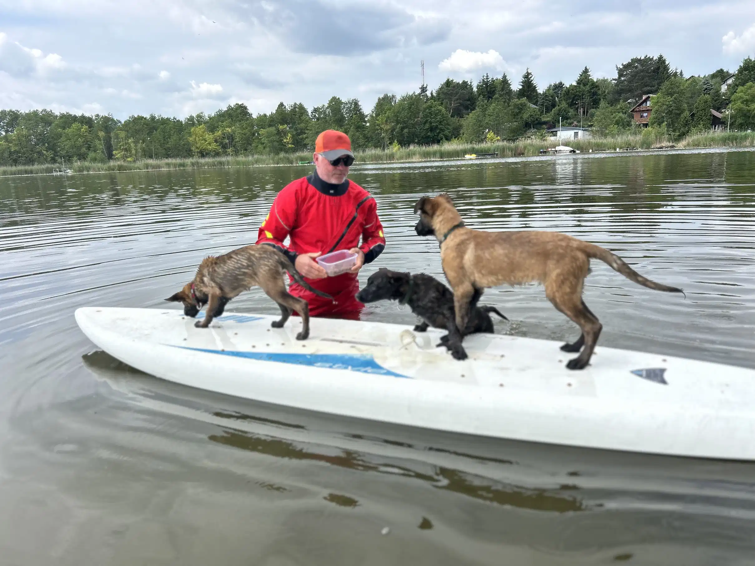 Weekend z K9 SWS - treningi psów na wodzie